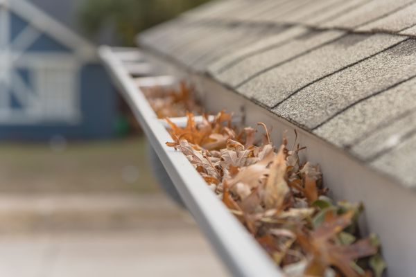 Leaf Barrier Installation in Suffolk