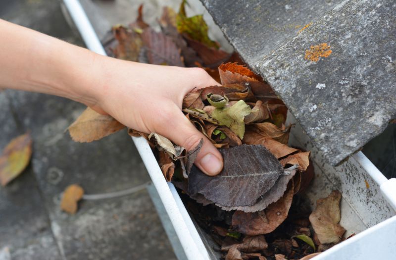 Clean and Maintained Gutters